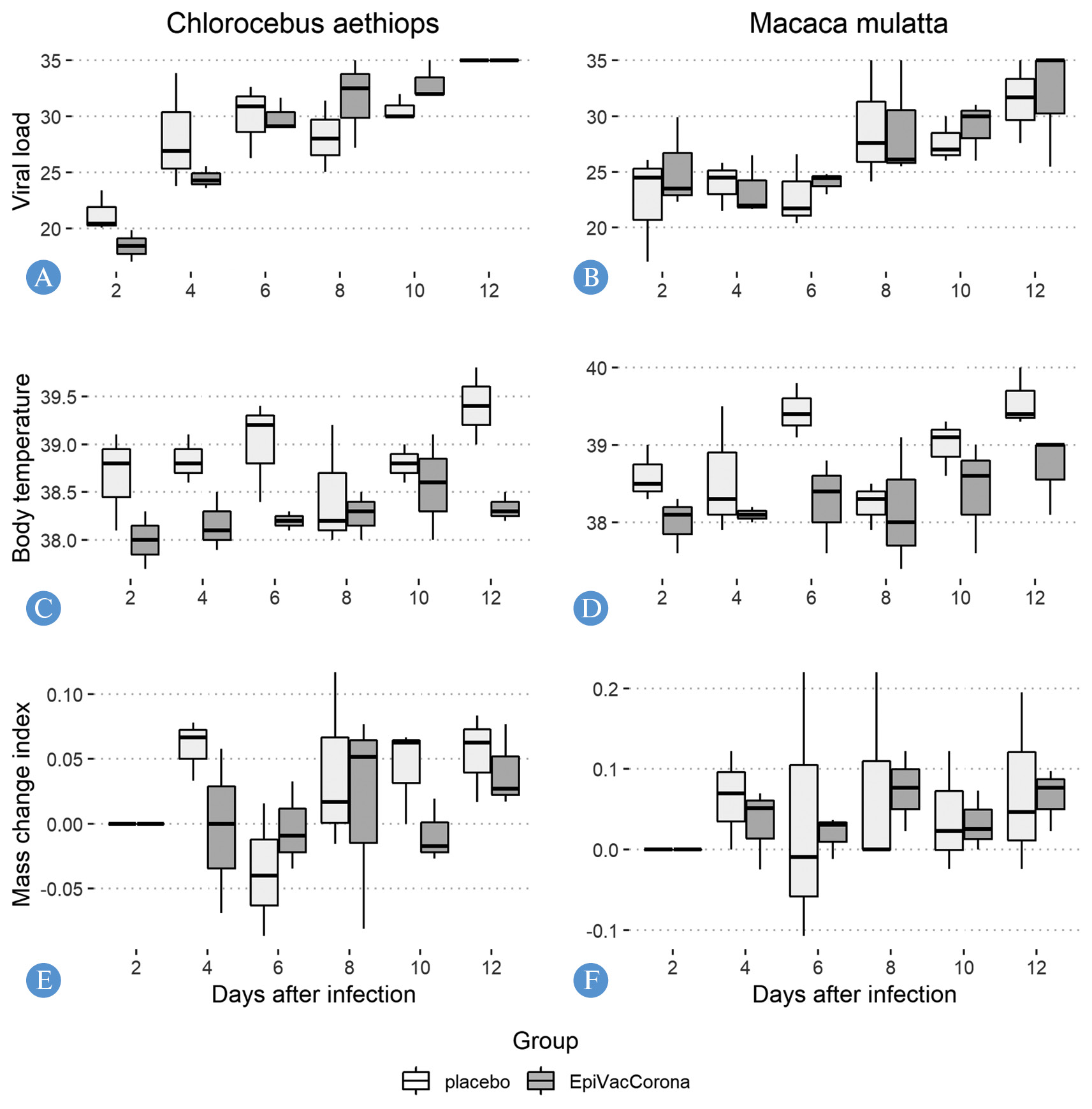 Immunogenicity and protectivity of the peptide vaccine against 